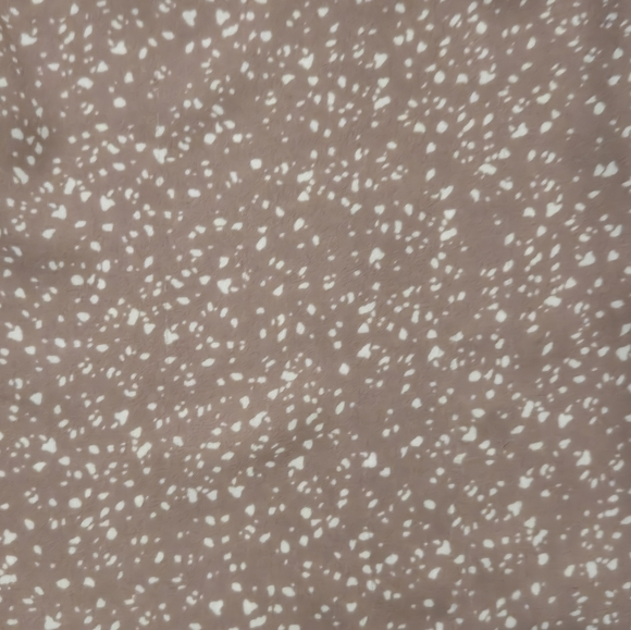 Loft Button-Up Long Sleeve Shirt - Picture 5 of 8